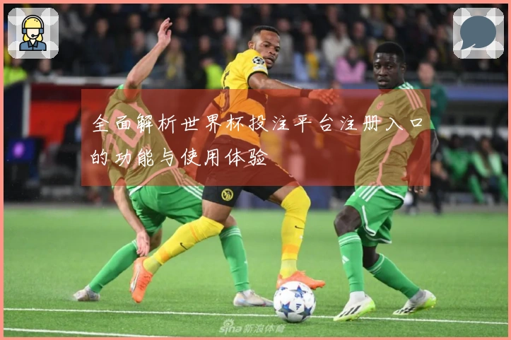 全面解析世界杯投注平台注册入口的功能与使用体验