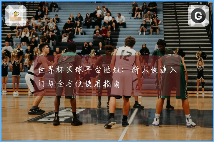 世界杯买球平台地址：新人快速入门与全方位使用指南