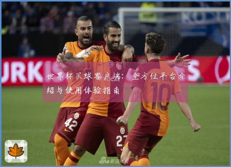 世界杯买球客户端：全方位平台介绍与使用体验指南