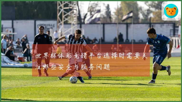 世界杯体彩竞猜平台选择时需要关注哪些安全与服务问题