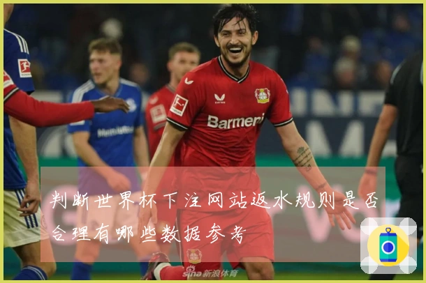 判断世界杯下注网站返水规则是否合理有哪些数据参考