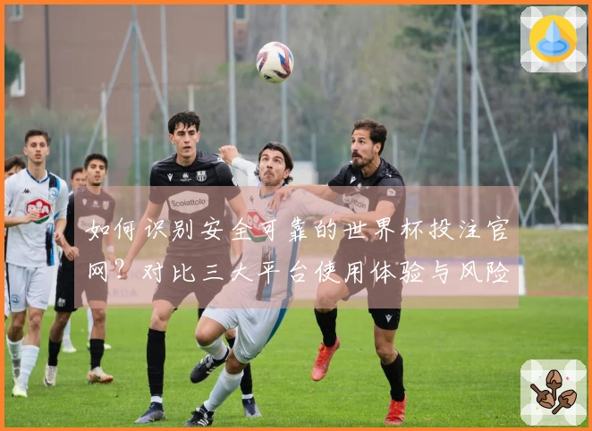如何识别安全可靠的世界杯投注官网？对比三大平台使用体验与风险评估