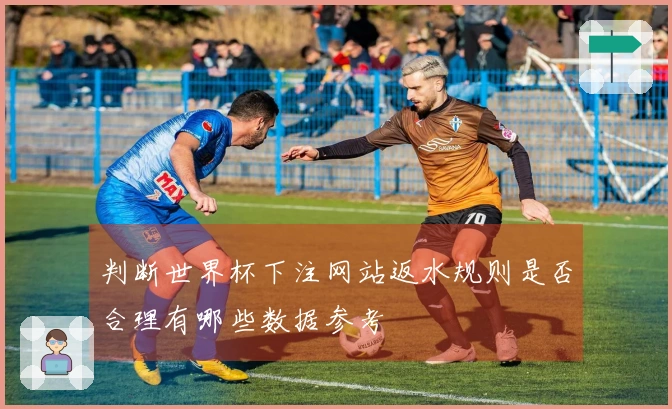 判断世界杯下注网站返水规则是否合理有哪些数据参考