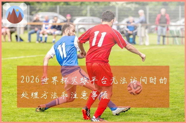 2026世界杯买球平台无法访问时的处理方法和注意事项