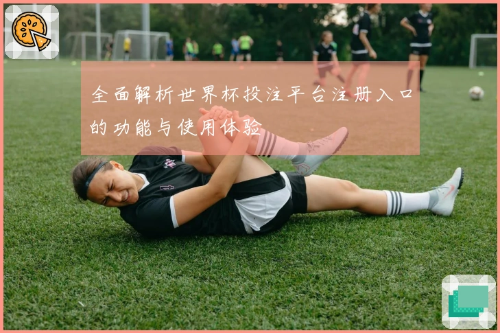 全面解析世界杯投注平台注册入口的功能与使用体验