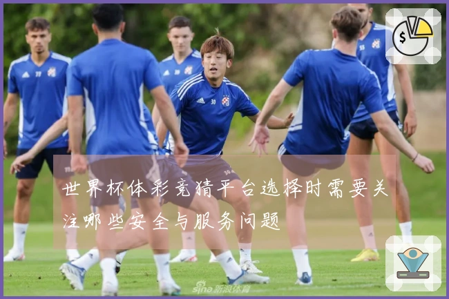世界杯体彩竞猜平台选择时需要关注哪些安全与服务问题