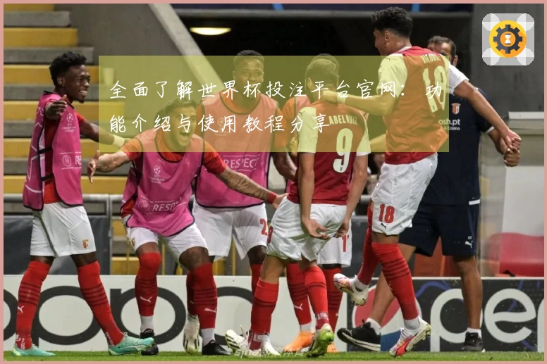 全面了解世界杯投注平台官网：功能介绍与使用教程分享