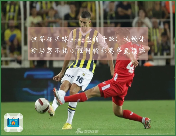 世界杯买球主站全新升级：流畅体验助您不错过任何精彩赛事直播瞬间