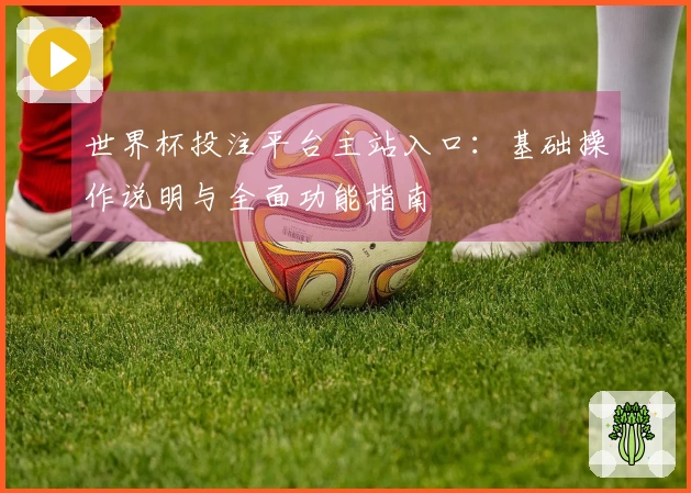 世界杯投注平台主站入口：基础操作说明与全面功能指南
