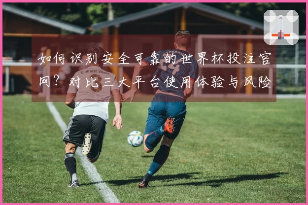 如何识别安全可靠的世界杯投注官网？对比三大平台使用体验与风险评估