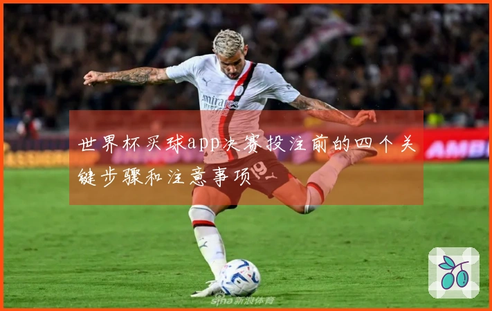 世界杯买球app决赛投注前的四个关键步骤和注意事项