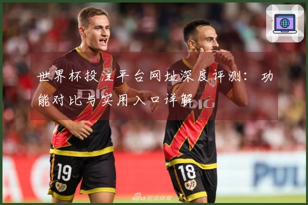 世界杯投注平台网址深度评测：功能对比与实用入口详解
