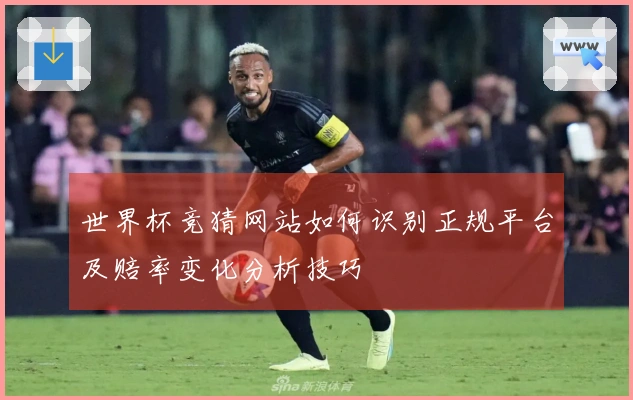 世界杯竞猜网站如何识别正规平台及赔率变化分析技巧