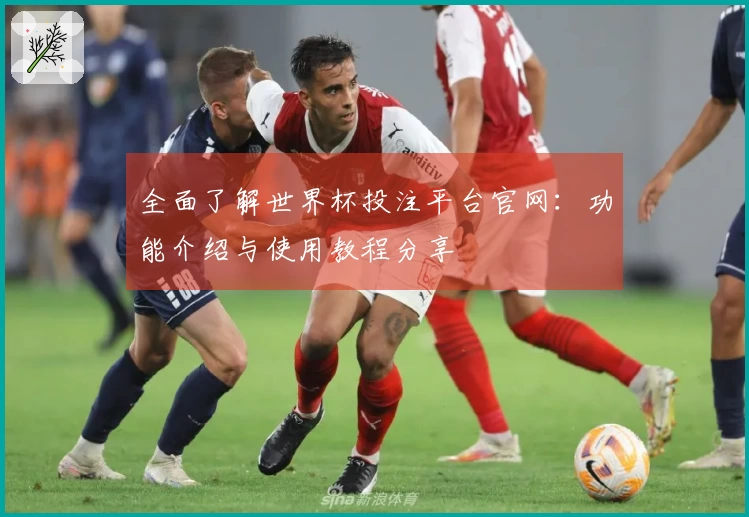 全面了解世界杯投注平台官网：功能介绍与使用教程分享