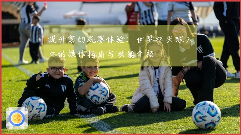提升您的观赛体验：世界杯买球入口的操作指南与功能介绍