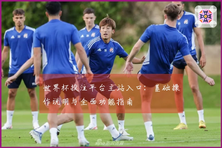 世界杯投注平台主站入口:基础操作说明与全面功能指南