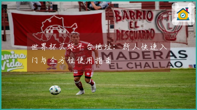 世界杯买球平台地址：新人快速入门与全方位使用指南